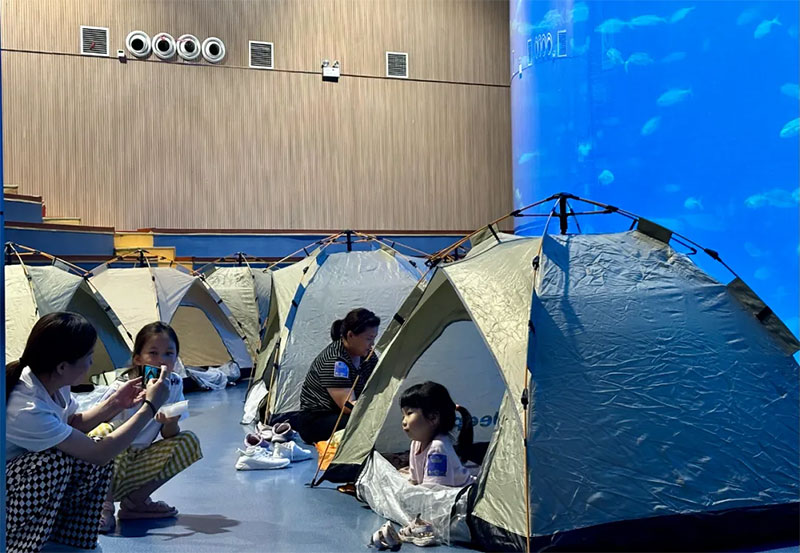 8月海底夜宿火熱招募中丨與魚兒共眠，開啟海底奇妙夜