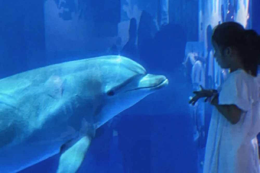 下周五！暑期*后一期海底夜宿招募，欲報從速~