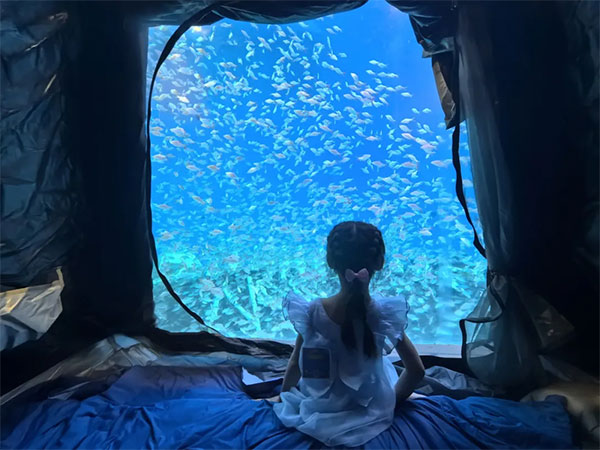 8月2日海洋夜宿火熱招募！與魚共眠的浪漫奇遇名額有限，速來！